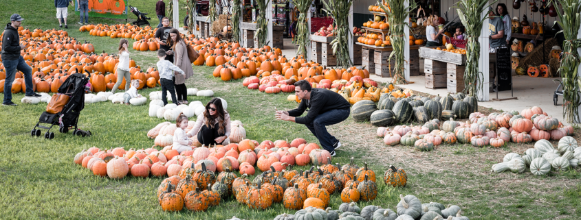 Your Guide to Fall at White House Fruit Farm