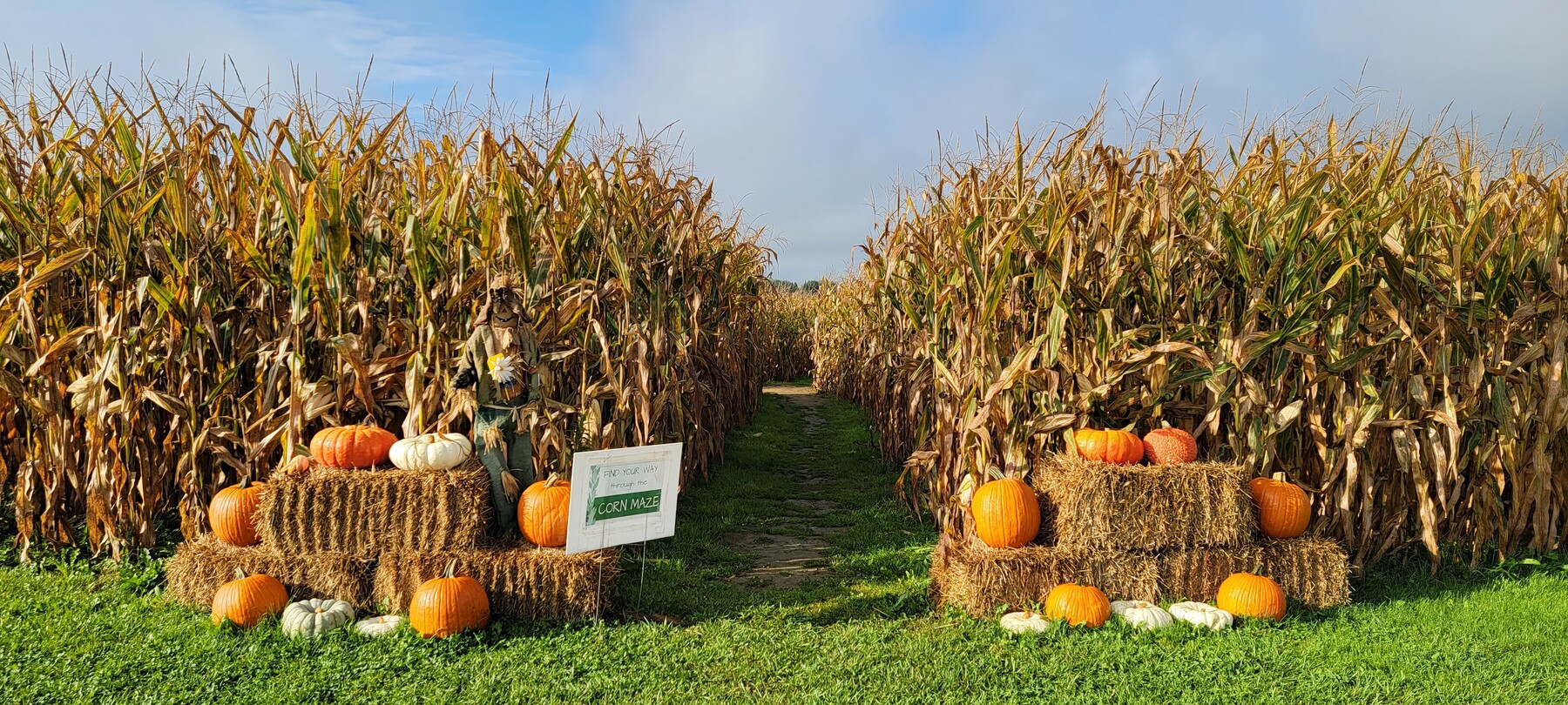 2022’s Best Fall Activities Near Youngstown, Ohio