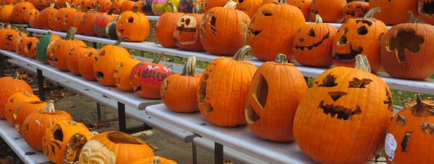 Halloween pumpkin Display at Boardman Park.